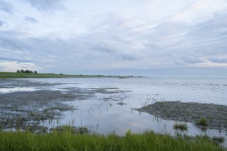 Low tide at the North Sea, evening light, Lower Saxony Wadden Sea National Park, Norddeich, East