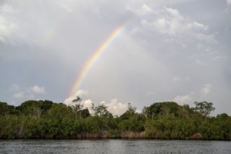 Rainbow over the Iguéla Lagoon, Loango National Park, Parc National de Loango, Ogooué-Maritime