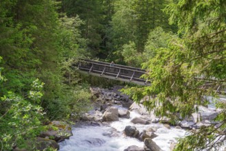 A narrow river with rapids, crossed by a wooden bridge in a dense forest, Zillertal, Austria,