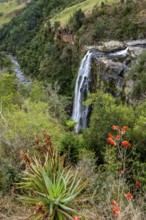 Lisbon Falls, long exposure, near Graskop, Mpumalanga, South Africa, Africa