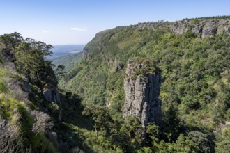 Rock needle in a densely forested canyon, Pinnacle Rock, view over canyon landscape, near Graskop,