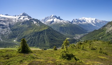 Mountain panorama with glaciated mountain peaks, Aiguille de Chardonnet with Glacier du Tour,