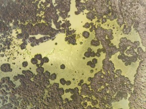 Marshland at low tide. Nature Reserve La Breña y Marismas del Barbate. Aerial view. Drone shot.