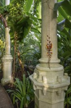 Large columns and lush plants, tropical flair, historic greenhouse, palm house, Botanical Garden or