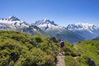 Mountaineer on hiking trail, mountain panorama with glaciated mountain peaks, Aiguille Verte with