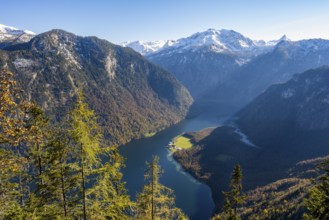 Panoramic view of the Königssee from the Archenkanzel viewpoint, autumnal forest and snow-capped