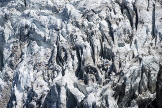 Glacier ice, rutted glacier with crevasses, Glacier de Taconnaz, Chamonix, Haute-Savoie, France,