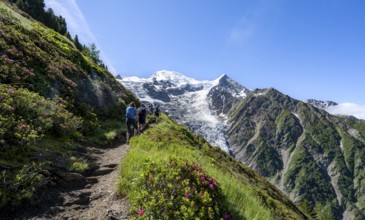 Hiker on hiking trail La Jonction, mountain landscape, view of glacier Glacier de Taconnaz,