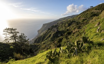 Evening mood, green coastal landscape on a steep cliff, sea and coast, viewpoint Miradouro da