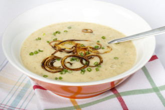 Swabian cuisine, green spelt soup, healthy, vegetarian, regional, soup served in a bowl, home