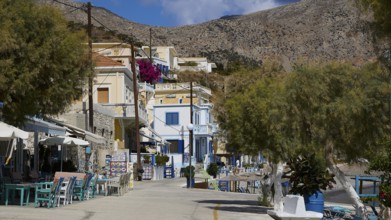 Quiet village street with colourful houses at the foot of the mountains, lined with trees, Diafani,