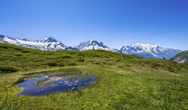 Mountain panorama with glaciated mountain peaks, Aiguille de Chardonnet with Glacier du Tour,