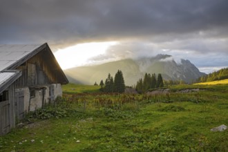 The Ladiz-Alm, the high alpine pasture of the Eng-Alm, Ladiz-Alm, Karwendel Mountains, Tyrol,