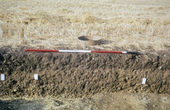 Measuring rod and sieve at the trench Archaeological excavation site of the University of Cambridge