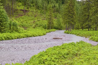 Enger-Grund creek, Eng valley, Tyrol, Austria, Europe