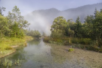 Isar valley nature conservancy area. The wild Isar river flows through its gravel bed past