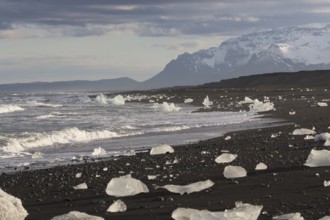 Little icebergs and crushed ice on the black beach at Joekulsarlon glacial lake