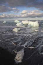 Little icebergs and crushed ice on the black beach at Joekulsarlon glacial lake