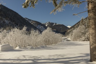 The Riss creek flowing through a snow covered landscape in the Eng valley. Sunny day with blue sky