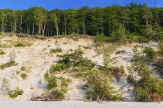 Cliffs of the Wolin National Park. Beach at sunset, close to Miedzyzdroje (Misdroy), a village in