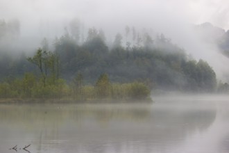 Dense fog on a lake on an early fall morning