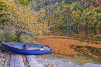 A rowing boat lies ashore of Lake Toplitz, forest in full autumn colors, Austria, Europe