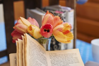 Nosegay of tulips (Tulipa) beside an open book, Germany, Europe