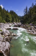 Mountain stream, Triftsteig along the Saalach near Lofer, Saalachtal, Pinzgau, Salzburg province,