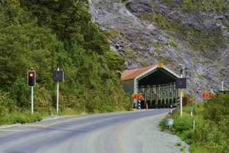 A bend in the road leads into a tunnel with red traffic lights, surrounded by dense vegetation and