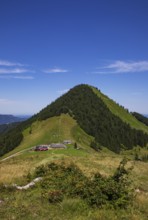 Oberwiesalm with Faistenauer Schafberg, Osterhorn group, Salzkammergut, Salzburg province, Austria,