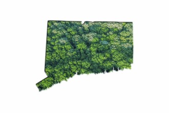 Green Forest Map of Connecticut, on white background