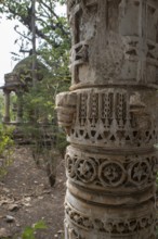 Polo Monument in Forest, Vijayanagar, Sabarkantha, Gujarat, India, Asia