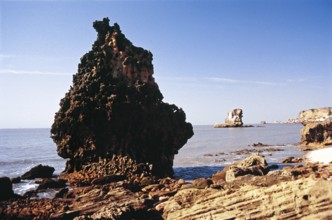 Lonely sea stack sculpted by sea waves, saurashtra, Gujarat, India, Asia