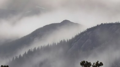 Foggy mountain landscape at sunset. Nature, AI generated