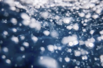 Abstract Bubbles in Water, Air Bubbles Water Background