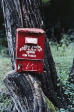 View of letterbox at Manali, Himachal Pradesh, India, Asia