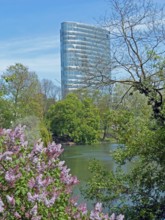 Düsseldorf, pond, office building GAP 15, Graf-Adolf-Platz