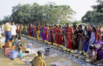 Pongal Festival, Tamil Nadu, India, Asia