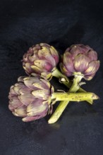 Artichoke