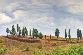 Fields in Tuscany