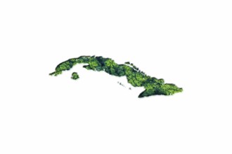 Green Forest Map of Cuba, on white background