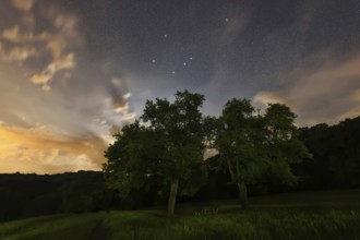 Telescopium star constellation, Night sky, Cluster of stars, Deep space, Telescope constellation