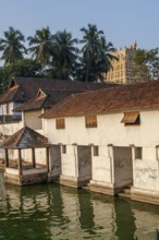 Padmanabhaswamy temple, thiruvananthapuram, kerala, India, Asia