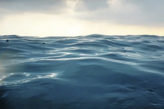 Sea Wave in the Rain close up, low angle view water background