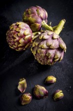 Artichoke