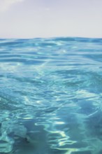 Sea wave close up, low angle view water background