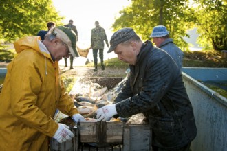 Fishing in Hermsdorf