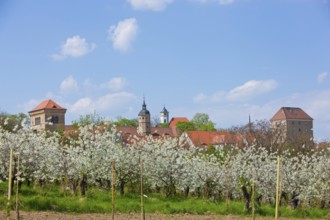 Gamig estate near Dresden