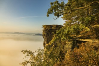 Bastei rocks