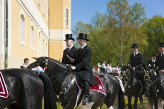 Every year at Easter there are about 5 processions in Lusatia, each with about 200 riders. The